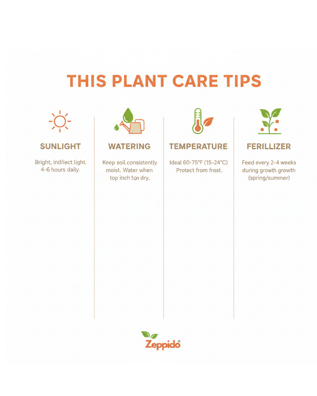 ZZ Plant Live | Zero-Maintenance Indoor Plant | Air Purifying Succulent for Home & Office | Drought Tolerant, Hardy & Long Lasting | With Pot – Elegant Green Foliage