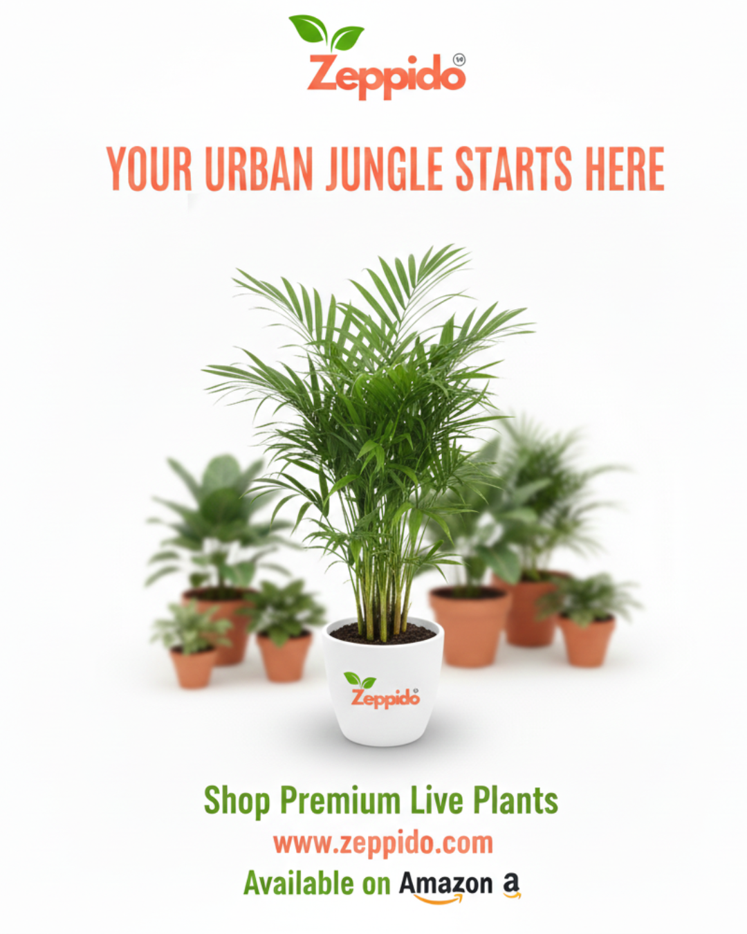 Blue Hydrangea Live Flowering Plant with Pot | Big Bloom Ornamental Shrub | Long Seasonal Flowering | Ideal for Garden, Balcony & Gifting