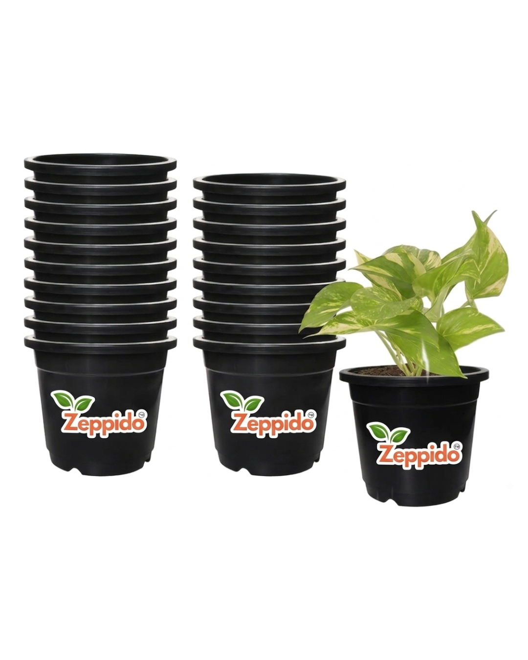 100% Virgin Plastic Round Nursery Planter Pot | Indoor and Outdoor Flower Pot for Home/Office/Table/Garden/Balcony Decoration | 6 inch, Set of 20 | Black