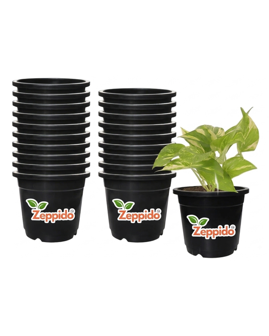100% Virgin Plastic Round Nursery Planter Pot | Indoor and Outdoor Flower Pot for Home/Office/Table/Garden/Balcony Decoration | 6 inch, Set of 20 | Black