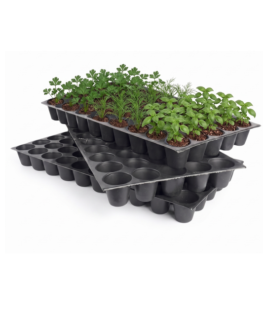 Reusable Seedling Tray - Pack of 3 (Black, 50 Holes/Tray) | Durable Plastic Germination Trays with Drainage Holes | Ideal for Seed Starting, Greenhouse, and Indoor Gardening