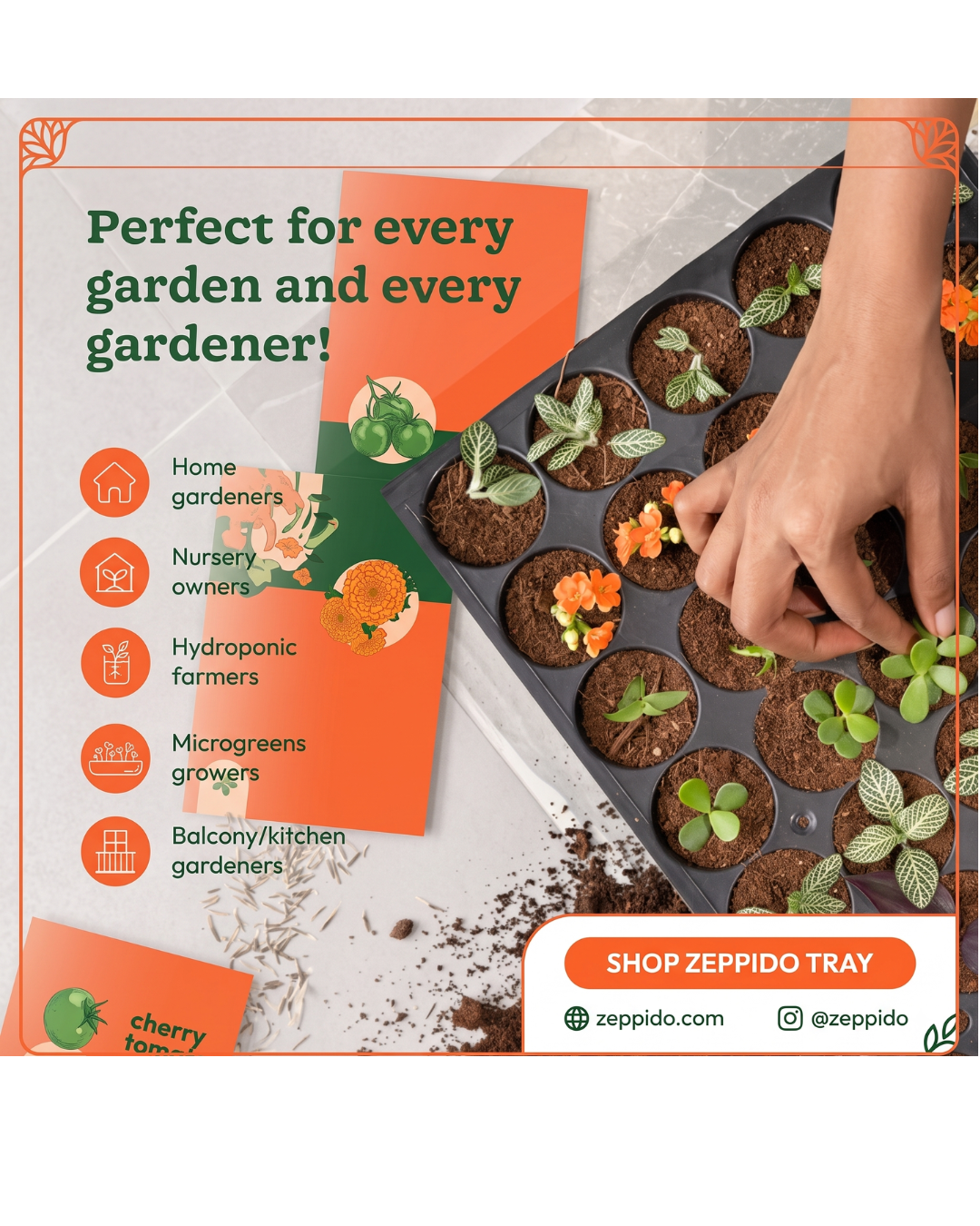 Reusable Seedling Tray - Pack of 3 (Black, 104 Holes/Tray) | Durable Plastic Germination Trays with Drainage Holes | Ideal for Seed Starting, Greenhouse, and Indoor Gardening