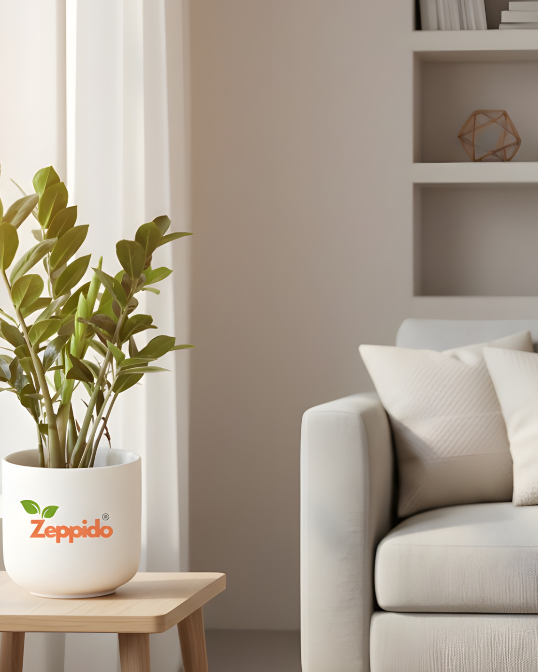 ZZ Plant Live | Zero-Maintenance Indoor Plant | Air Purifying Succulent for Home & Office | Drought Tolerant, Hardy & Long Lasting | With Pot – Elegant Green Foliage