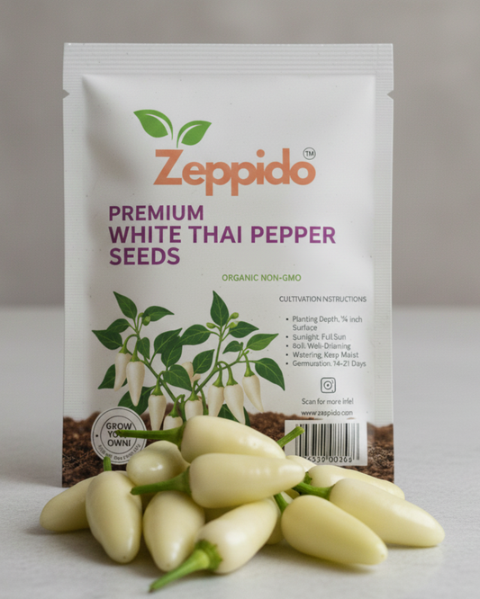 White Thai Pepper Seeds – Zeppido | High Yield | Extra Hot | Kitchen Garden Favourite